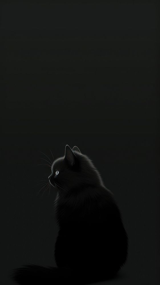 Cat art black silhouette animal. AI generated Image by rawpixel.