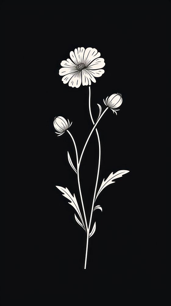 Tiny cute flower illustration drawing sketch daisy. AI generated Image by rawpixel.