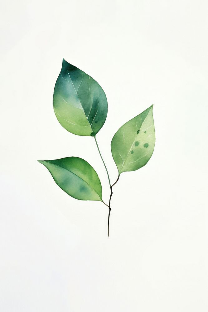 Minimal leafs plant annonaceae drawing. AI generated Image by rawpixel.