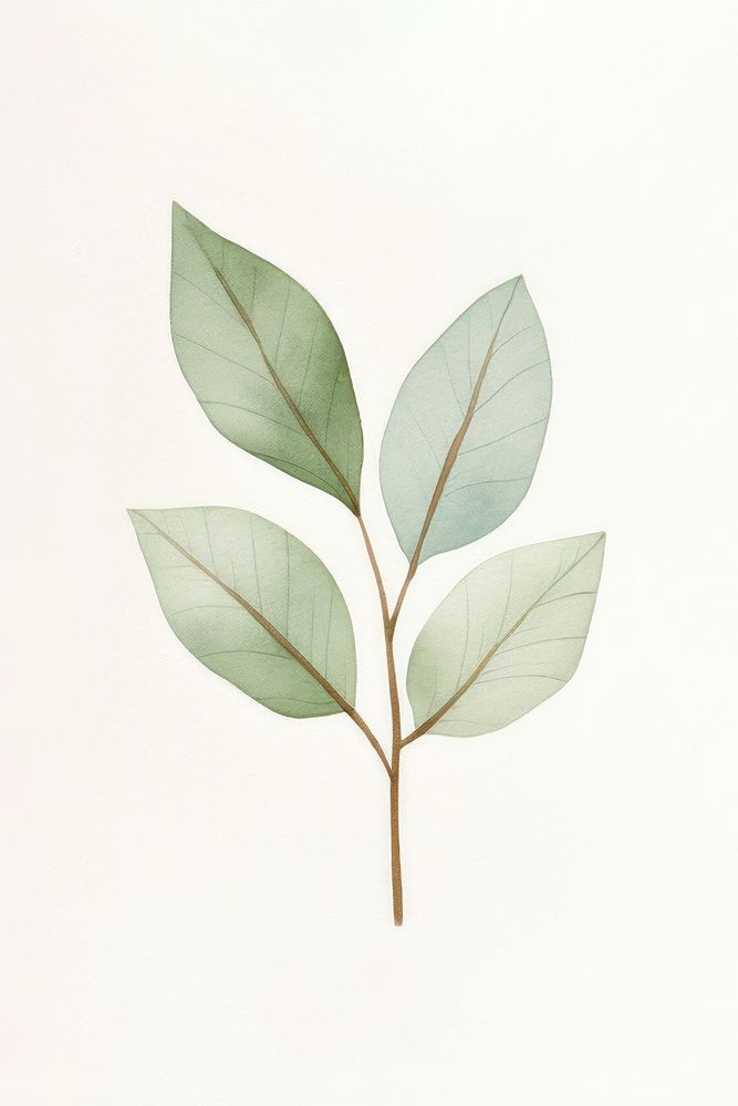 Minimal leafs plant creativity astragalus. AI generated Image by rawpixel.