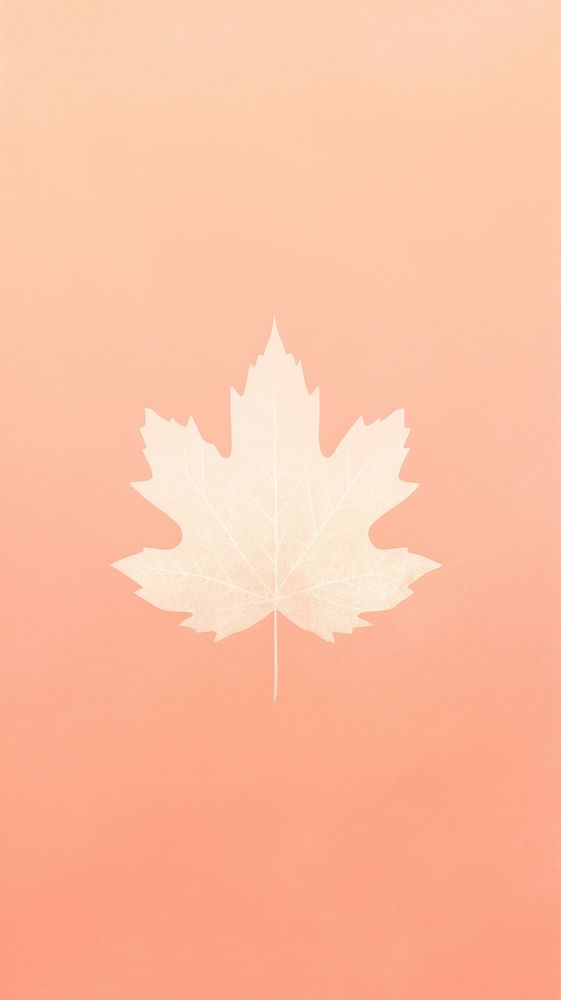 White maple shadow plant leaf tree. AI generated Image by rawpixel.