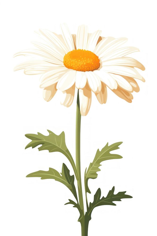 A daisy flower plant white. AI generated Image by rawpixel.
