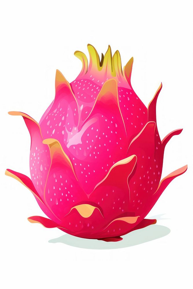 A dragon fruit berry white background freshness. AI generated Image by rawpixel.