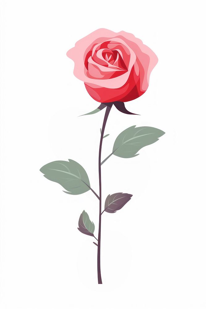 A rose flower plant white background. AI generated Image by rawpixel.