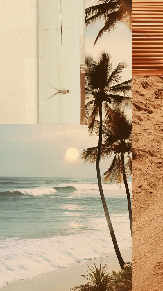 Vacation beach outdoors nature plant. AI generated Image by rawpixel.