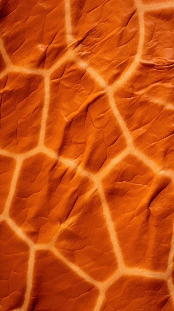 Giraffe skin texture backgrounds textured. AI generated Image by rawpixel.