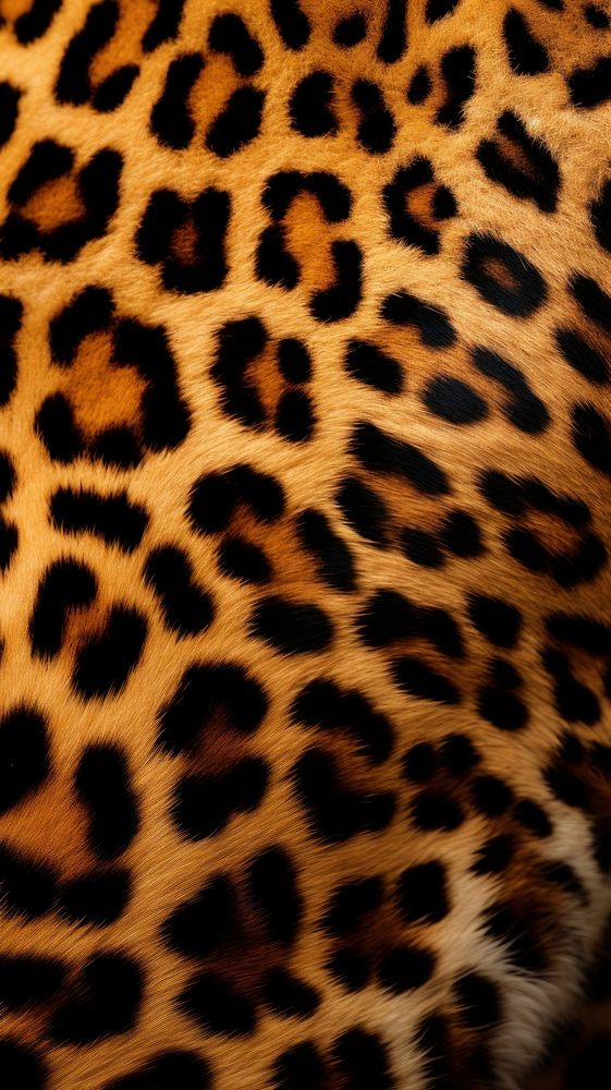 Leopard skin wildlife cheetah animal. AI generated Image by rawpixel.