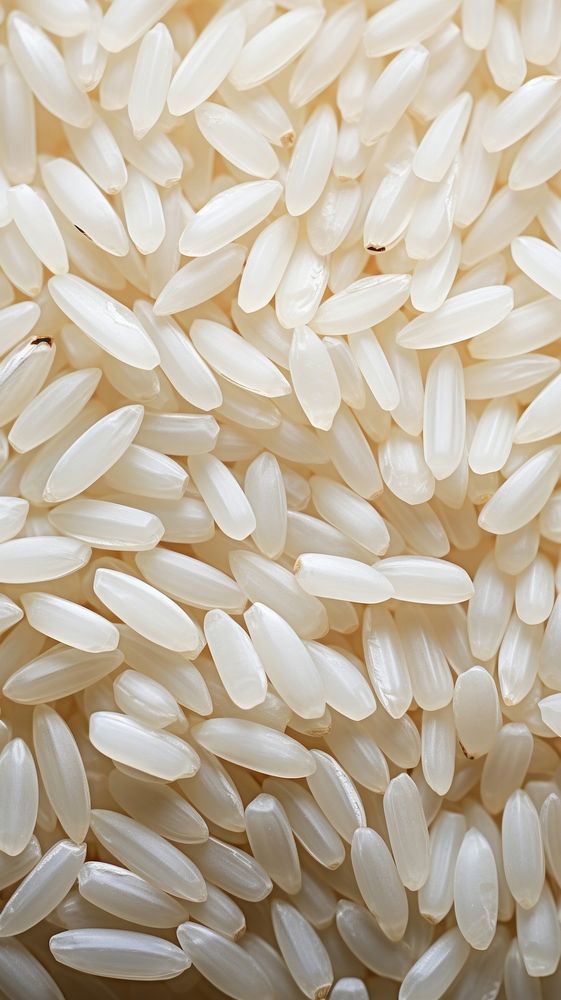 Rice grain food agriculture. AI generated Image by rawpixel.