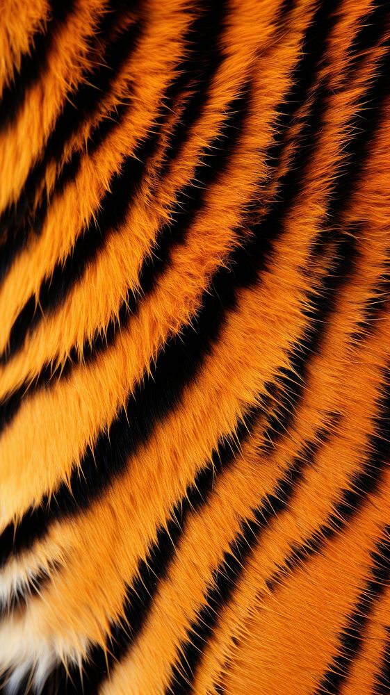 Tiger skin wildlife animal fur. AI generated Image by rawpixel.