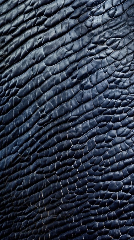 Whale skin texture black backgrounds. AI generated Image by rawpixel.