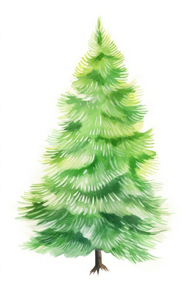 Christmas tree decorate plant pine fir. AI generated Image by rawpixel.