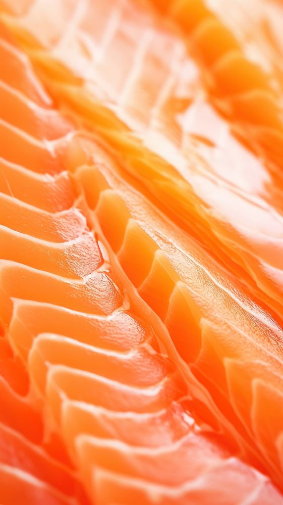 Raw salmon seafood backgrounds freshness. AI generated Image by rawpixel.