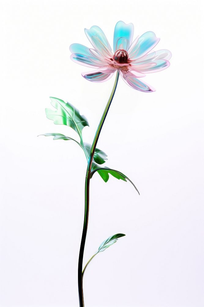 Flower petal plant pink. AI generated Image by rawpixel.