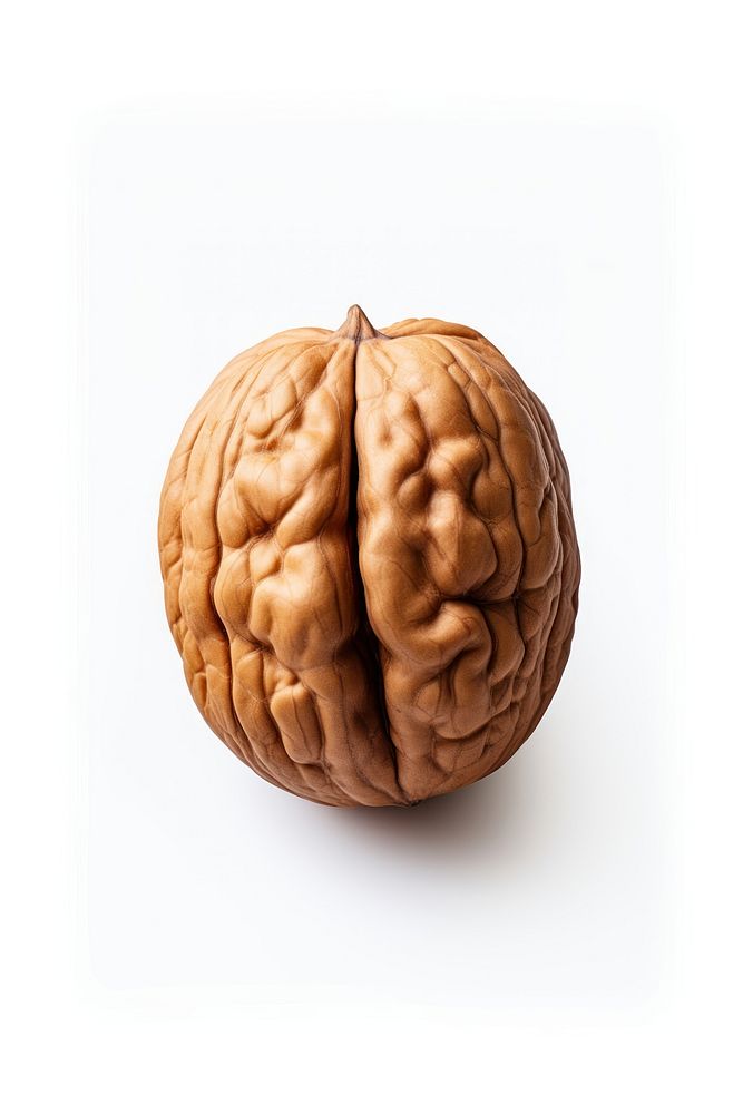 Walnut walnut food white background. AI generated Image by rawpixel.
