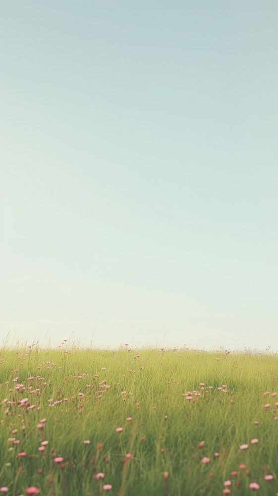 Meadow grassland outdoors horizon. AI generated Image by rawpixel.