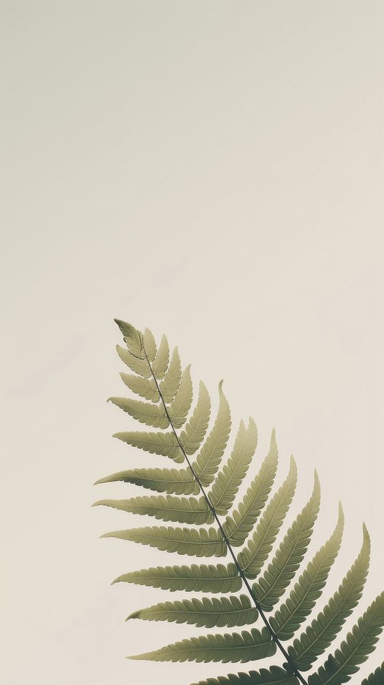 Fern plant leaf backgrounds. AI generated Image by rawpixel.