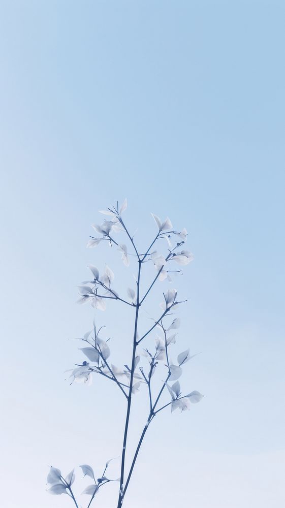 Frost outdoors nature flower. AI generated Image by rawpixel.