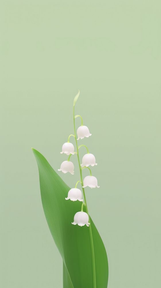 Lily of the valley flower plant petal. AI generated Image by rawpixel.