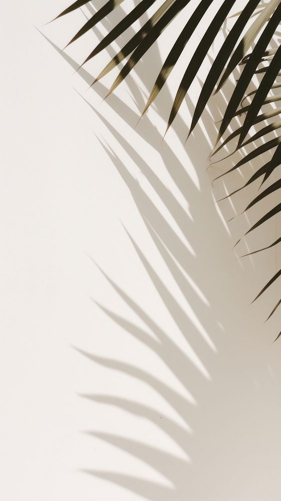 Palm leaves shadow nature plant leaf. AI generated Image by rawpixel.