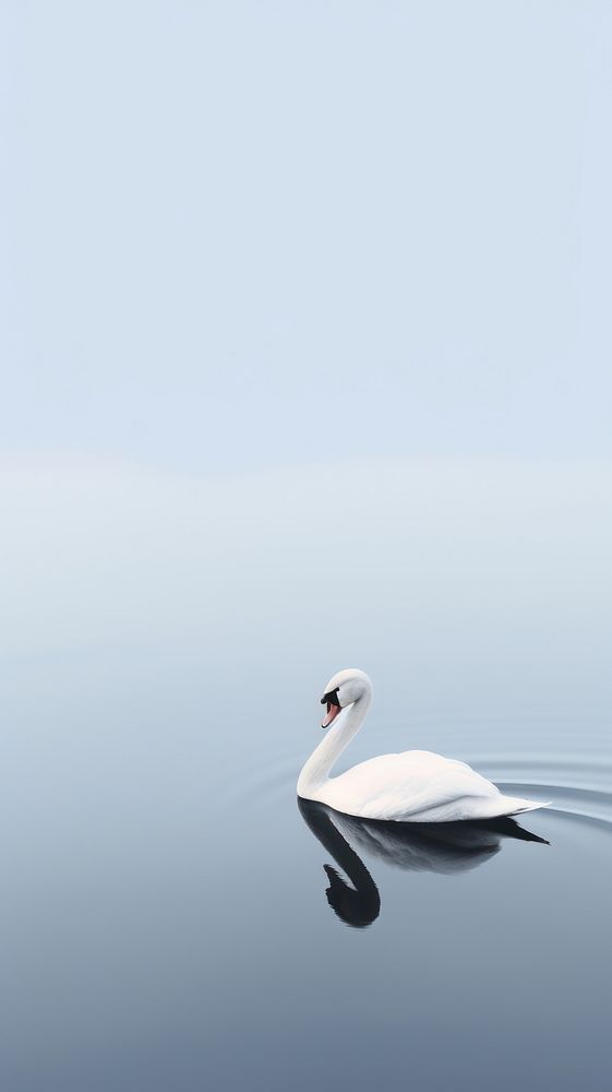 Swan in the lake outdoors animal nature. AI generated Image by rawpixel.