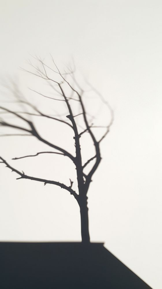Tree shadow silhouette nature plant. AI generated Image by rawpixel.