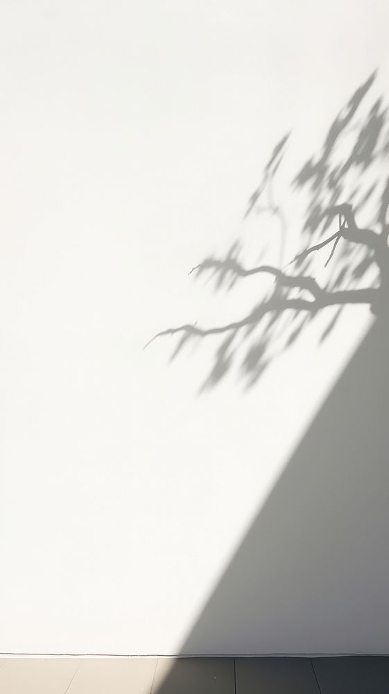 Tree shadow wall architecture plant. AI generated Image by rawpixel.