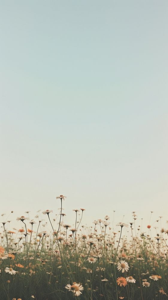 Wildflowers grassland outdoors horizon. AI generated Image by rawpixel.