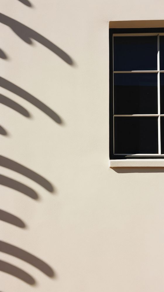 Window shadow wall architecture building. AI generated Image by rawpixel.