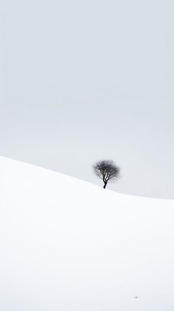 Winter landscape outdoors nature plant. AI generated Image by rawpixel.