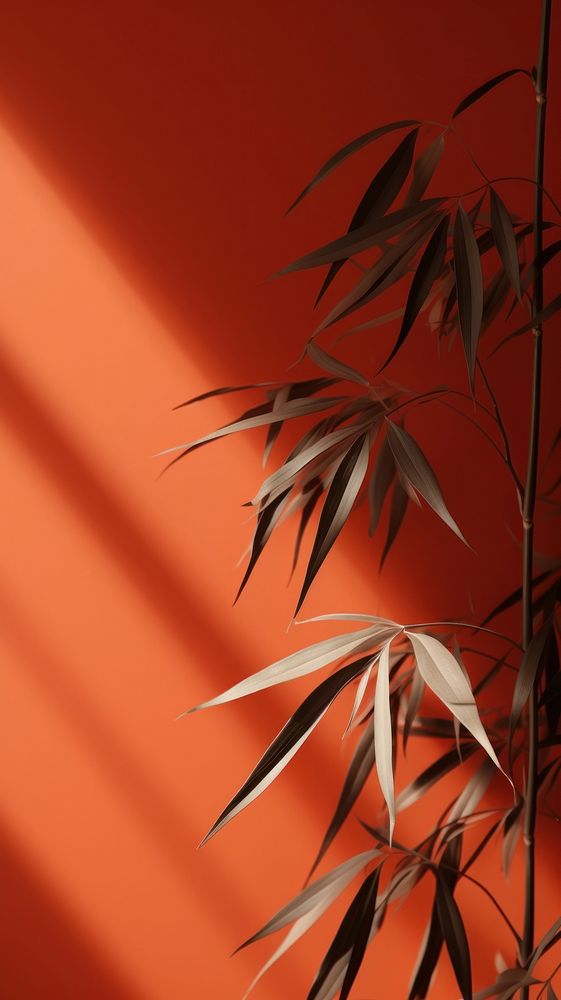 Bamboo leaves plant leaf wall. AI generated Image by rawpixel.