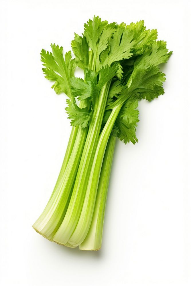 Fresh green celery parsley plant herbs. AI generated Image by rawpixel.