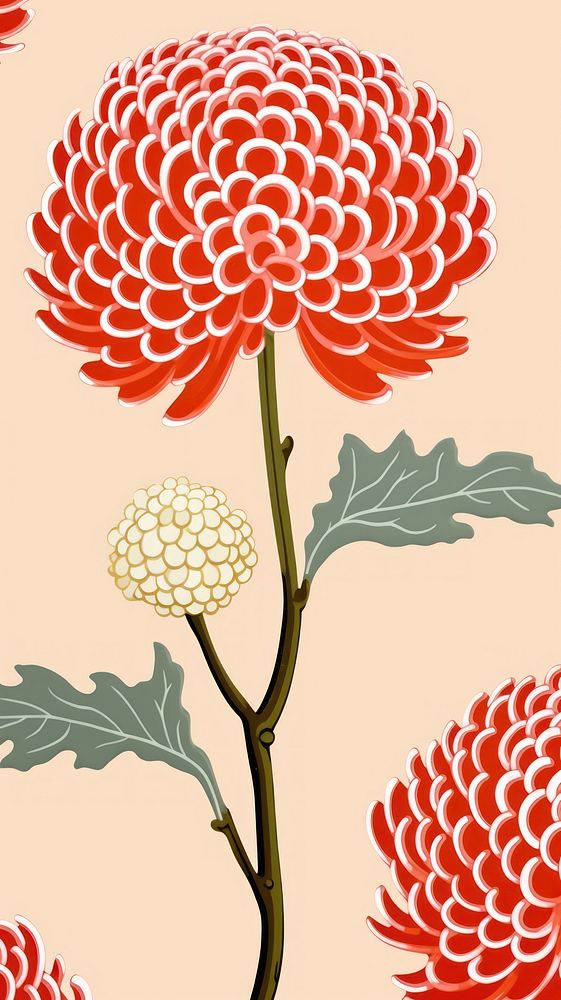 Chrysanthemum chrysanths wallpaper flower. AI generated Image by rawpixel.