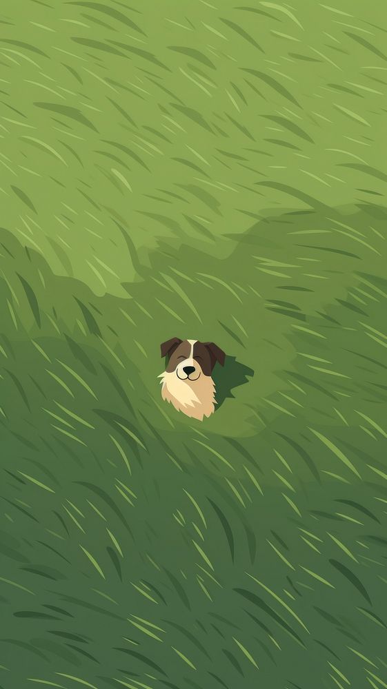 Grass field with dog green animal mammal