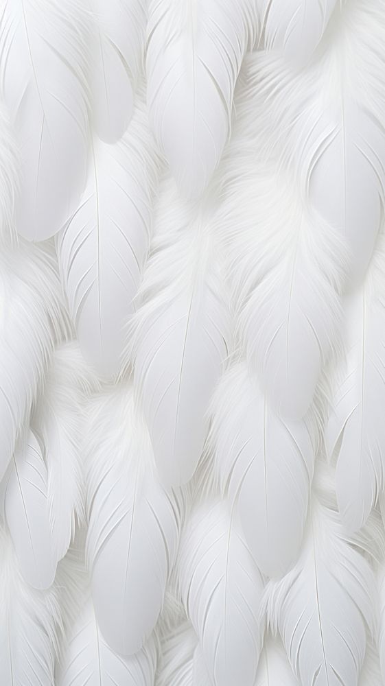 White feathers backgrounds lightweight furniture. AI generated Image by rawpixel.