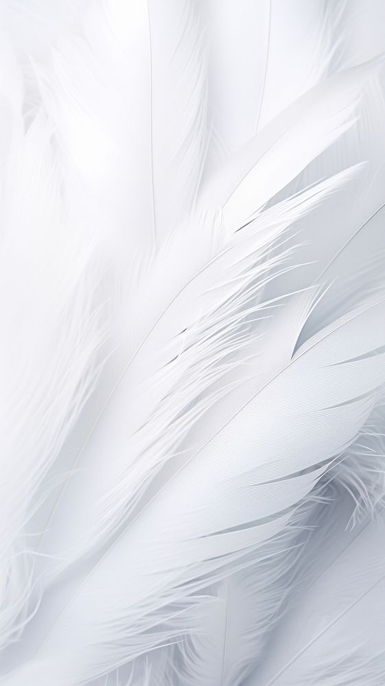 White feathers backgrounds lightweight monochrome. AI generated Image by rawpixel.