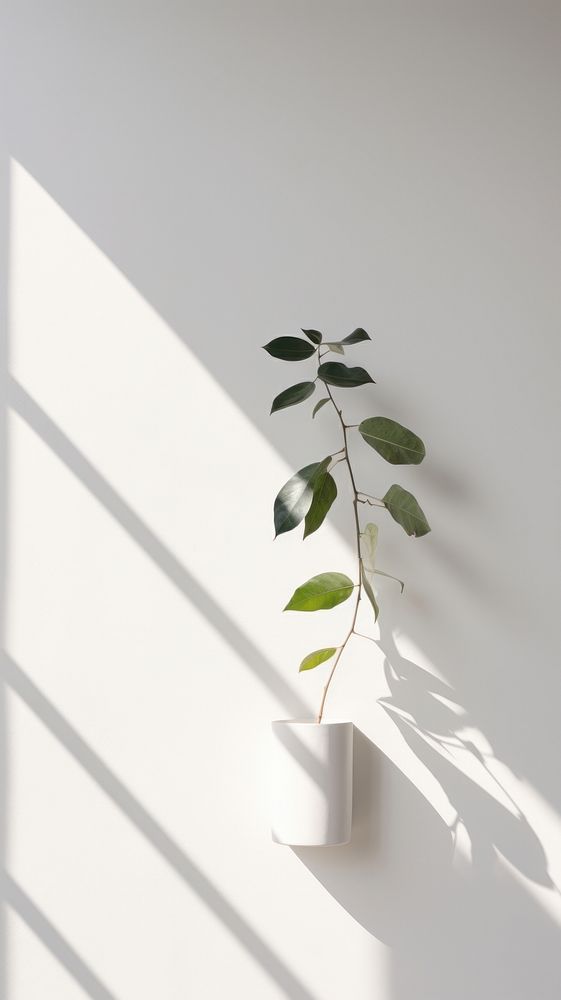 Wall shadow plant leaf. AI generated Image by rawpixel.