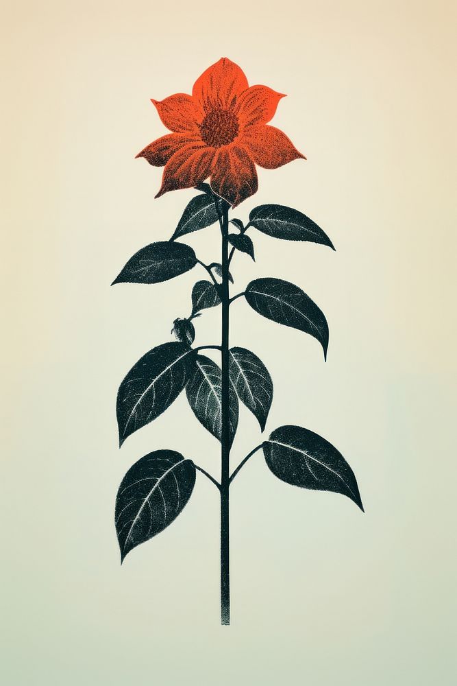 A little Dahlia nature flower dahlia. AI generated Image by rawpixel.