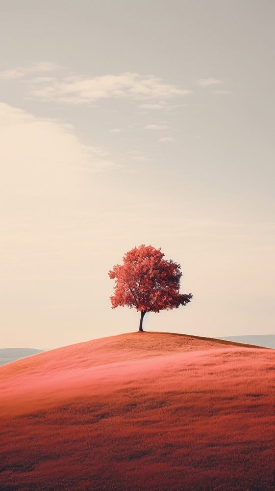 A lone tree sitting on top of a hill landscape outdoors horizon. AI generated Image by rawpixel.