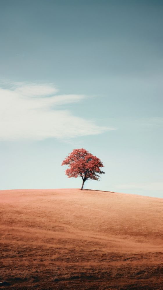 A lone tree sitting on top of a hill landscape outdoors horizon. AI generated Image by rawpixel.