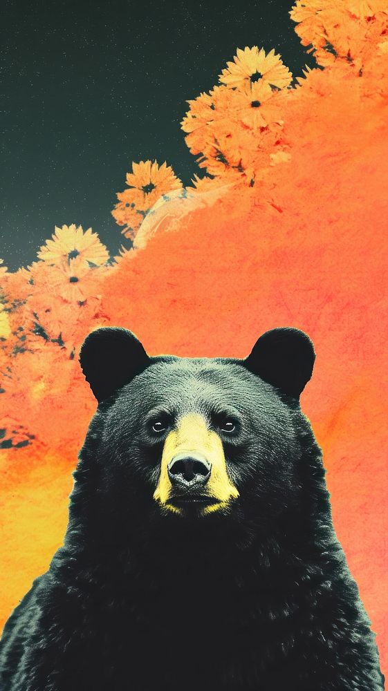 Minimal Collage Retro dreamy of bear wildlife animal mammal. AI generated Image by rawpixel.