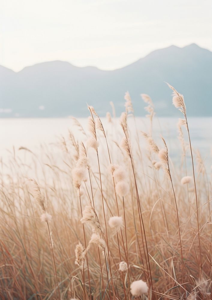 Wildflowers and grasses with mountains and ocean outdoors nature plant. AI generated Image by rawpixel.