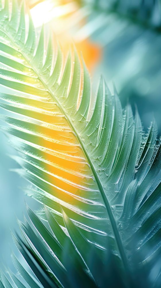 Tropical backgrounds outdoors pattern. AI generated Image by rawpixel.