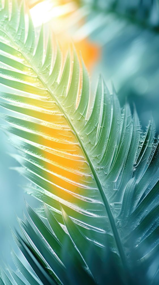 Tropical backgrounds outdoors pattern. 