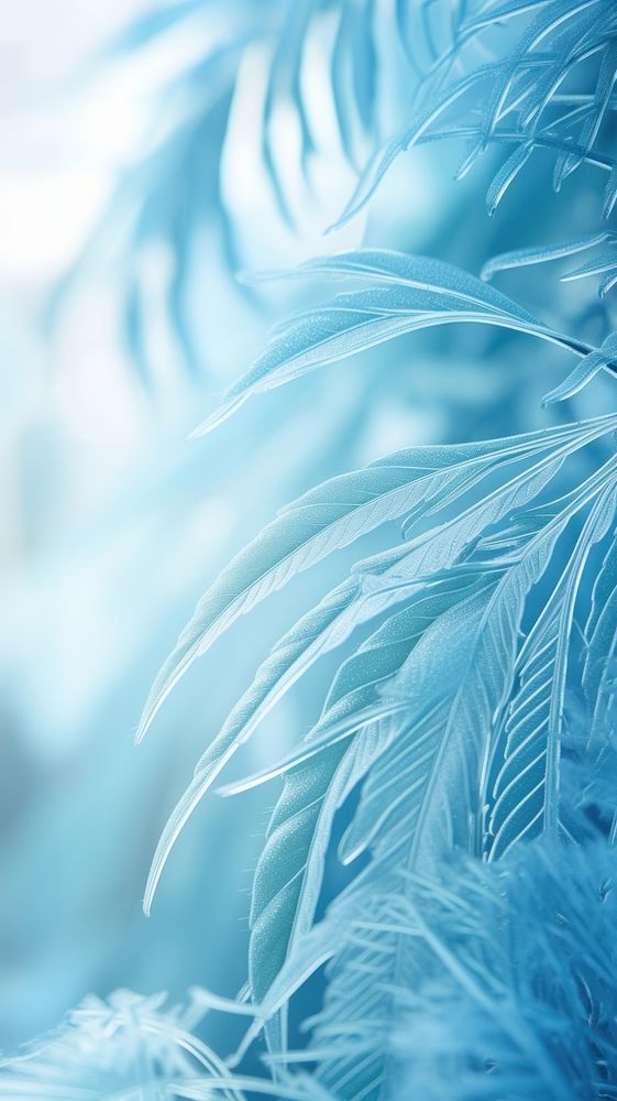 Tropical frost backgrounds outdoors. AI generated Image by rawpixel.