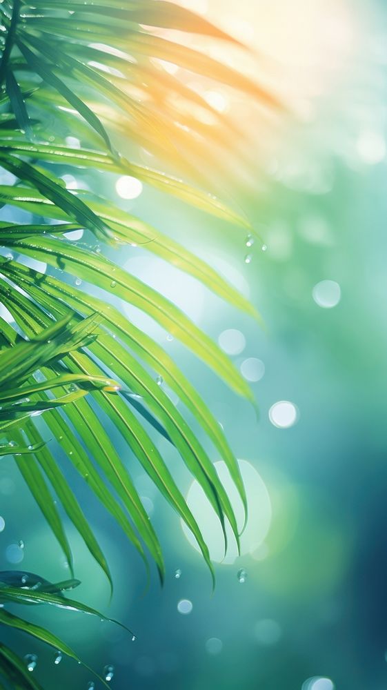 Tropical backgrounds sunlight outdoors. AI generated Image by rawpixel.