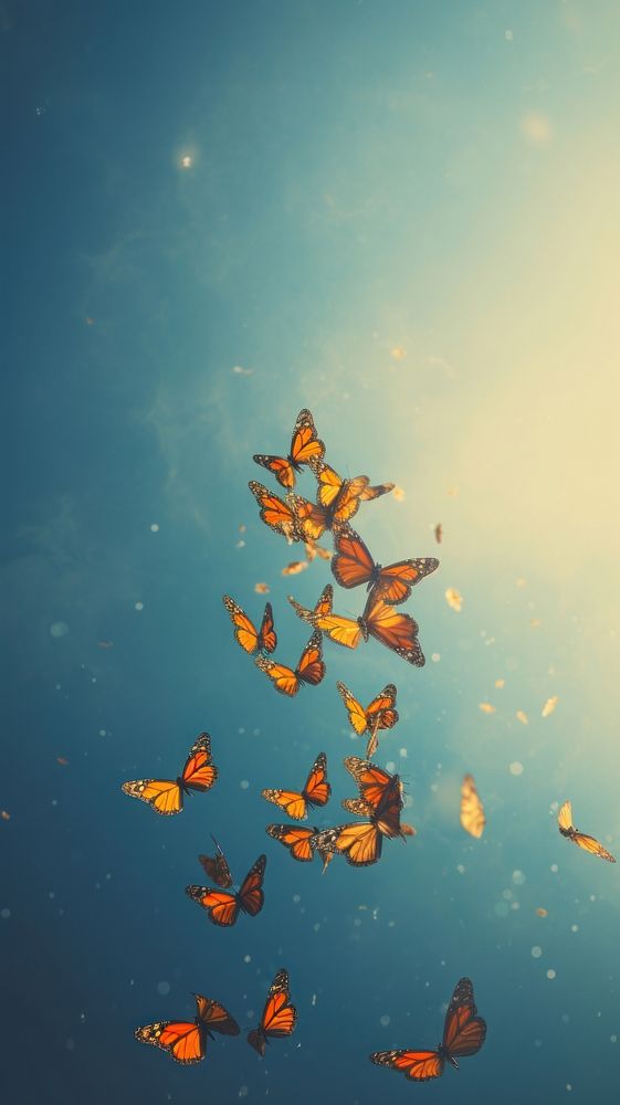 Monarch butterflies butterfly outdoors monarch. AI generated Image by rawpixel.