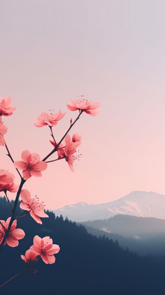 Nature outdoors blossom flower. AI generated Image by rawpixel.
