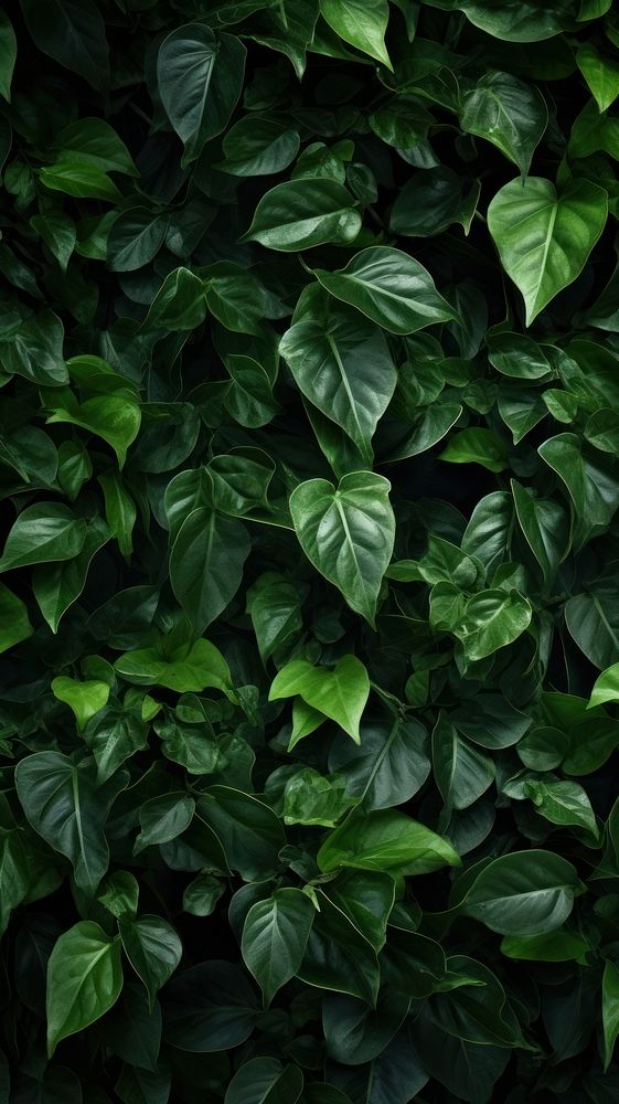 Nature texture plant green leaf. AI generated Image by rawpixel.