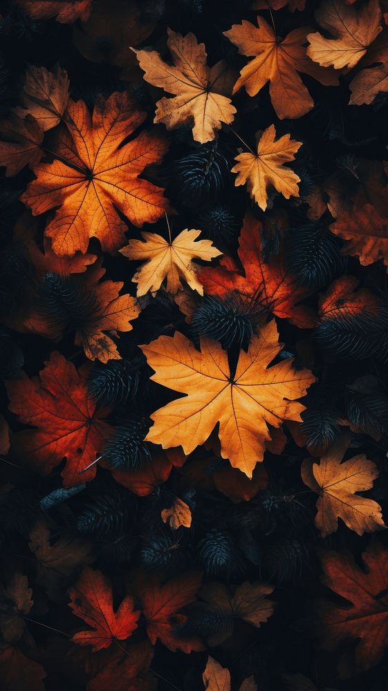 Autumn forest nature plant leaf. AI generated Image by rawpixel.