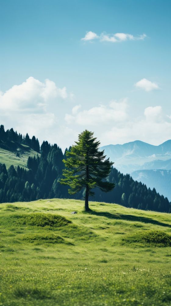 Pine Tree in the middle of a mountain meadow nature tree landscape. AI generated Image by rawpixel.